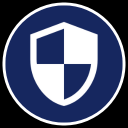 cyber security icon